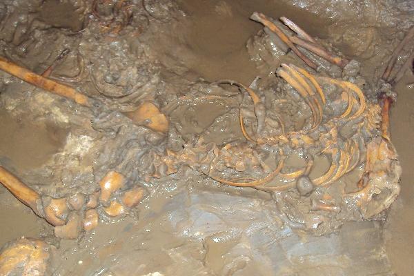 Se presume que una de las osamentas es de una mujer, junto a la cual hay  cráneos de dos  neonatos.