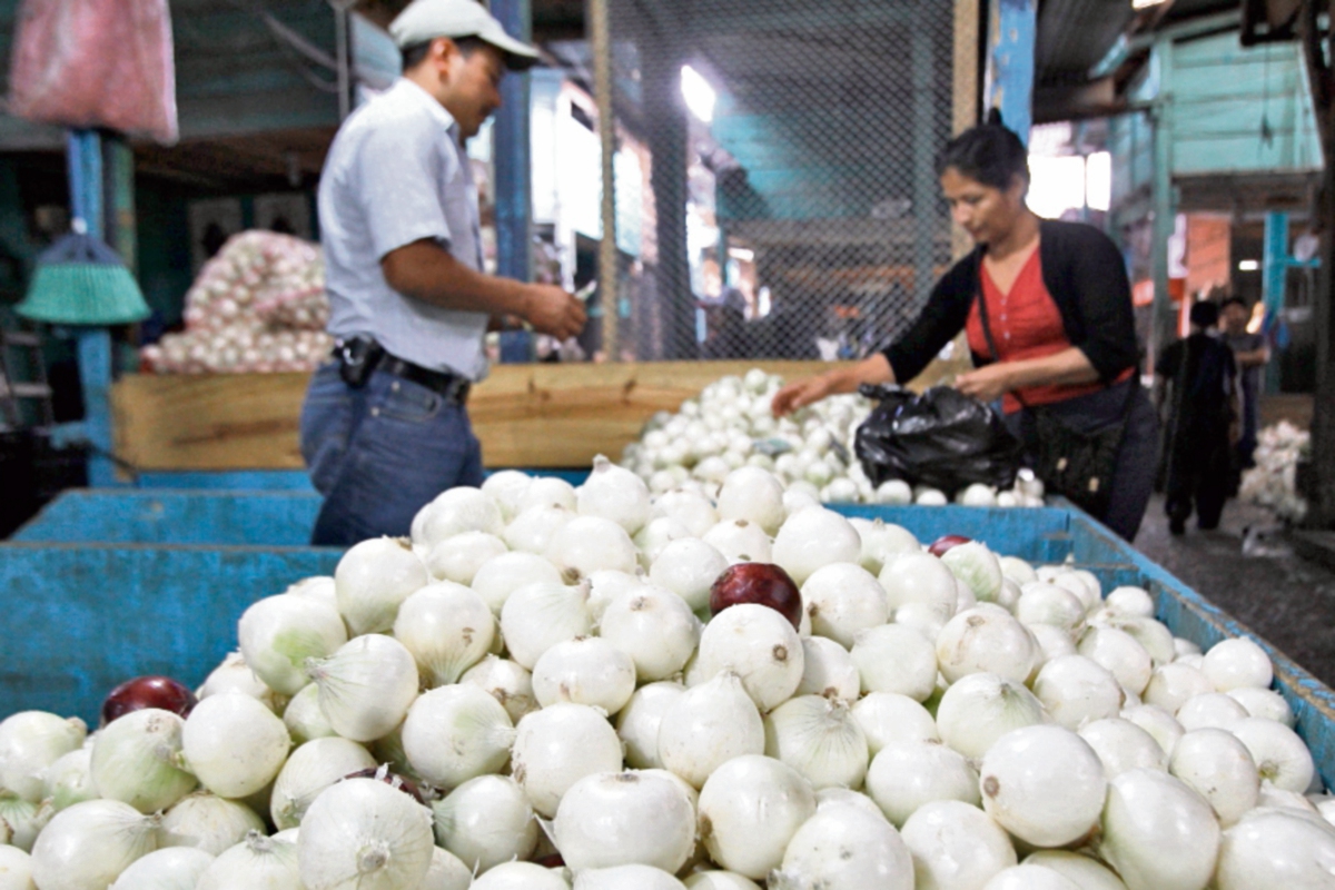 productores de cebolla enfrentan dificultades por bajos precios y escasos rendimientos. (FOTO PRENSA LIBRE: Alvaro Interiano.)