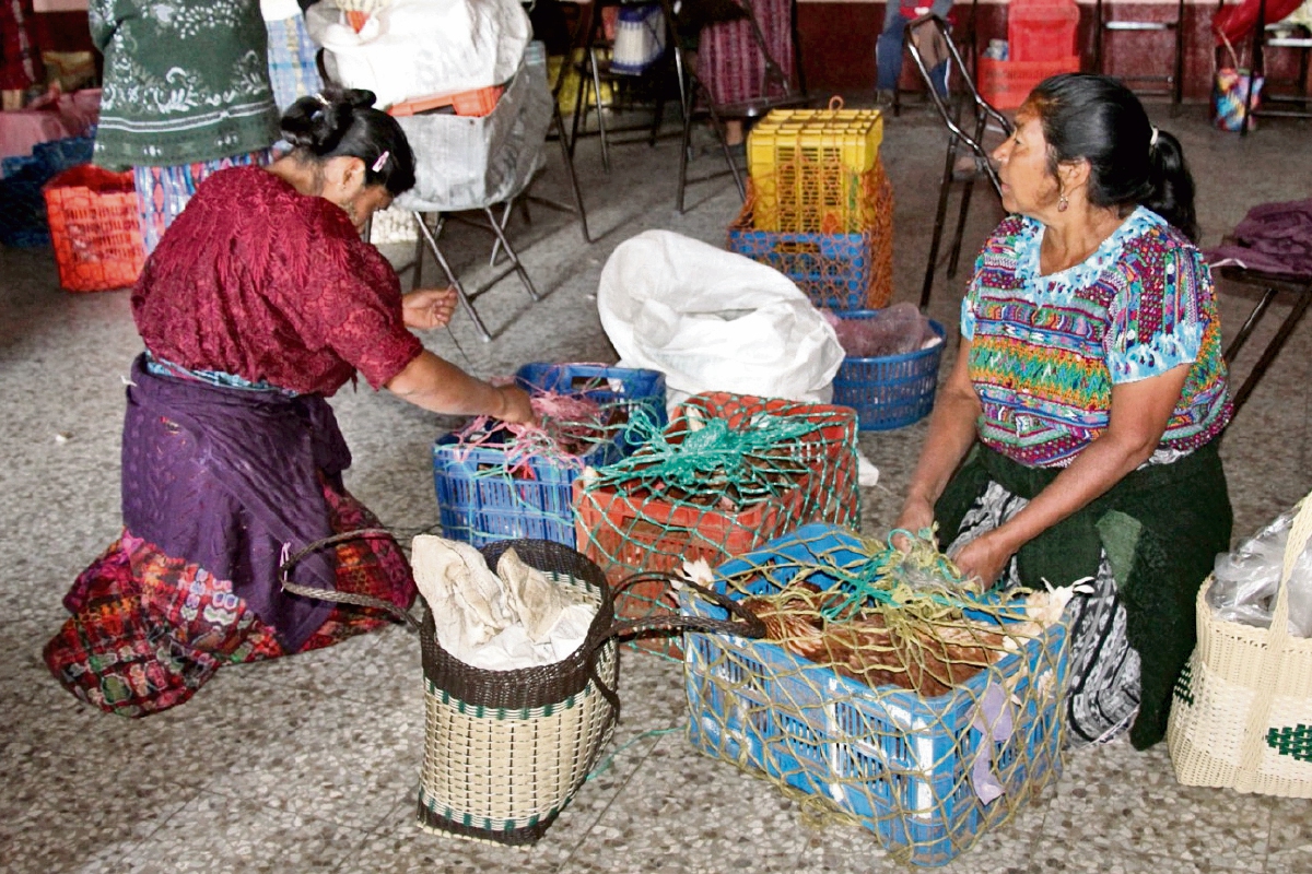 mujeres de  San Martín Jilotepeque  participan en programa de crianza de  gallinas ponedoras.