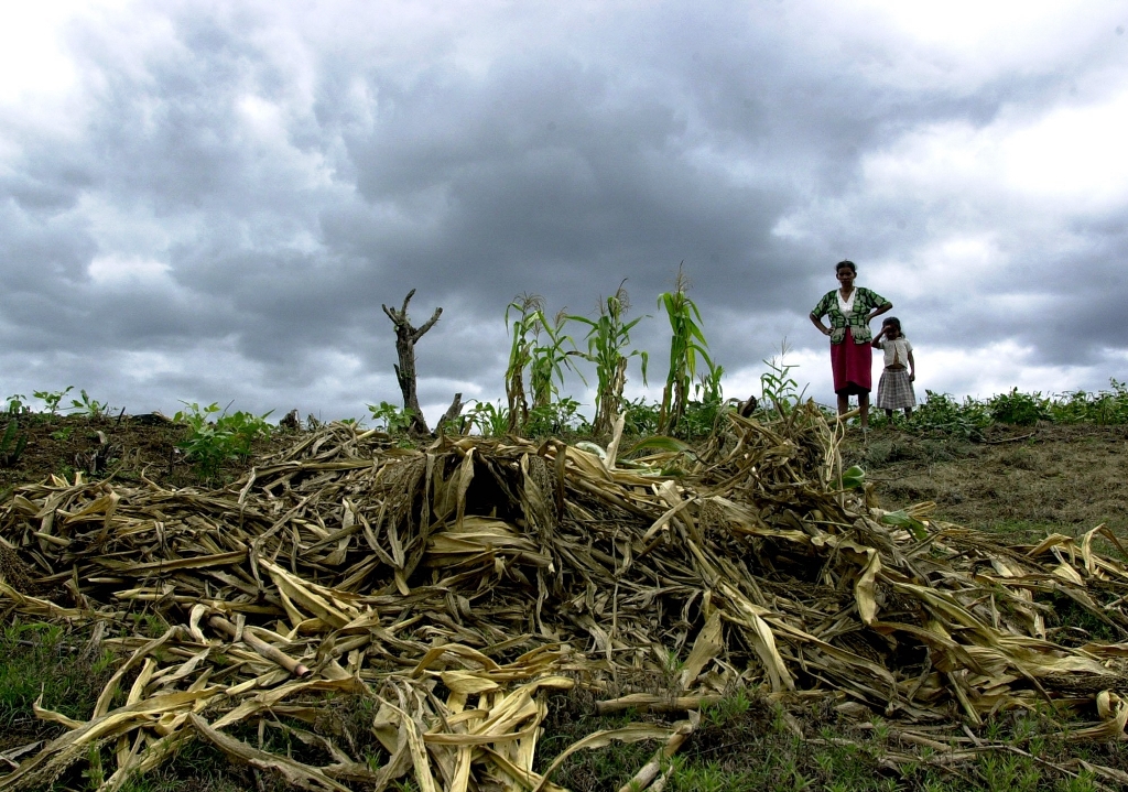 Por la sequía, consecuencia del fenómeno El Niño, o por exceso de lluvias, miles de familias necesitan de alimentos. (Foto Prensa Libre: Hemeroteca PL)