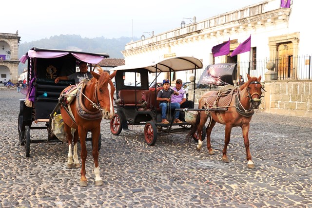 El servicio de carruajes está disponible de 10 horas a 18 horas. (Foto Prensa Libre: Renato Melgar)