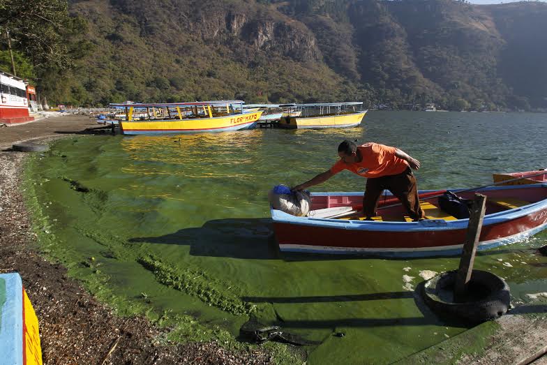 Acciones para combatir la contaminación del Lago de Amatitlán son insuficientes, lo cual se agrega a la estafa por la compra de un líquido que supuestamente serviría para limpiar el agua. (Foto Prensa Libre: Hemeroteca)