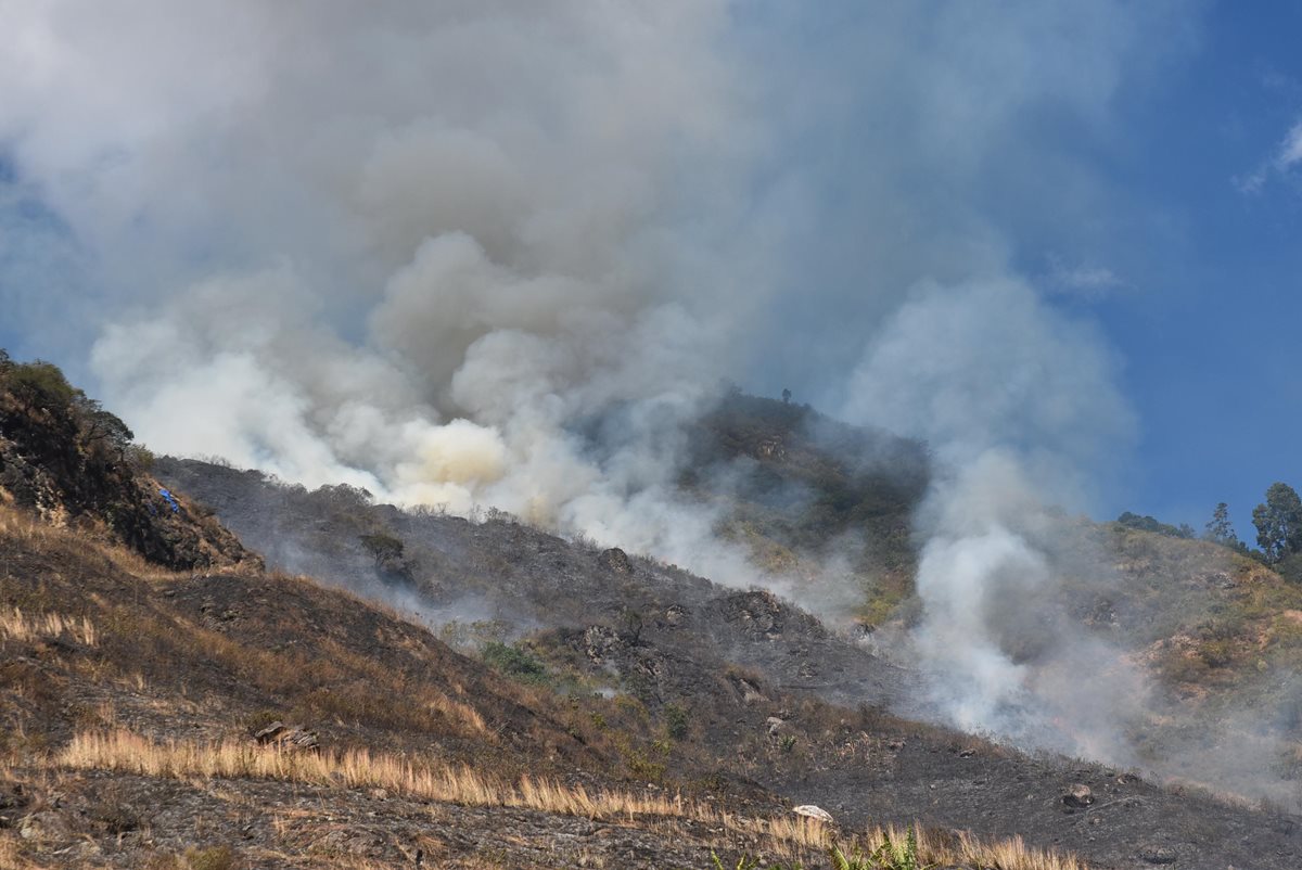 El incendio se produjo en el cerro Potrero en Santa Catarina Palopó, Sololá. (Foto Prensa Libre: Ángel Julajuj)