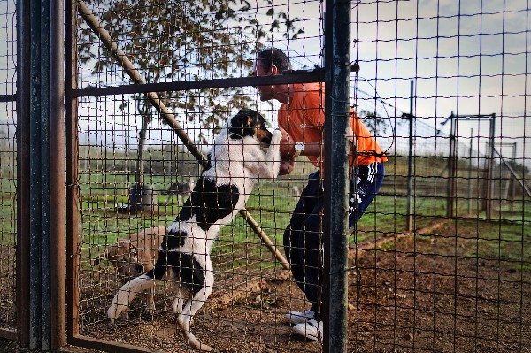 Un preso de la cárcel de Monsanto abraza a un perro en la perrera de la prisión. (Foto Prensa Libre: AFP)
