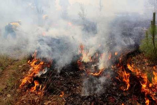 La mayoría de incendios ocurrieron en Quiché. (Foto Prensa Libre: Archivo)