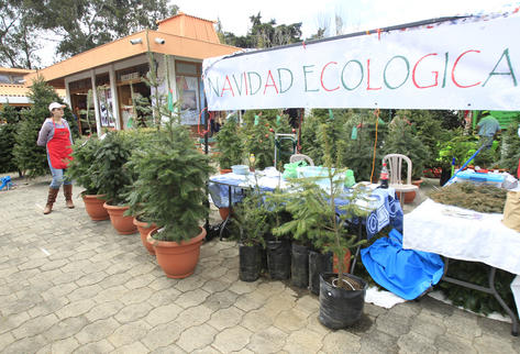 La venta está ubicada en el mercado de artesanías. (Foto Prensa Libre: Erick Ávila)