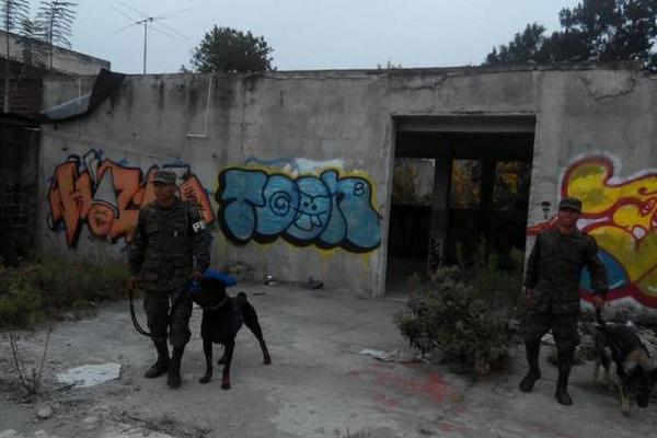 Dos integrantes de la unidad canina del Ejército de Guatemala apoyan a la PNC en operativos de rutina en la calzada Roosevelt. (Foto Prensa Libre: Cortesía Ejército)