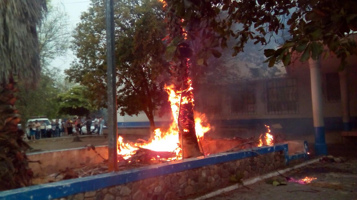 Un árbol prendió en llamas por la caída del rayo. (Foto Prensa Libre: Mario Morales)