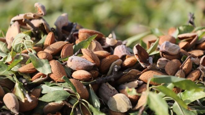Ricas en ácidos grasos monoinsaturados, las almendras son uno de los alimentos más saludables. (Foto Prensa Libre:GETTY IMAGES)