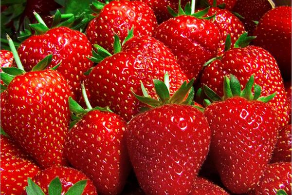 <br _mce_bogus="1"/>