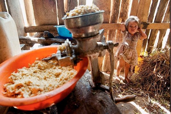 Gran cantidad de personas consumen maíz con toxinas por el mal secado que hacen de ese grano. (Foto Prensa Libre: Archivo)