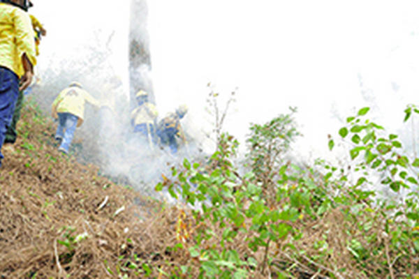 Los Bomberos Forestales realizaron prácticas para controlar siniestros. (Foto Prensa Libre: Conred)