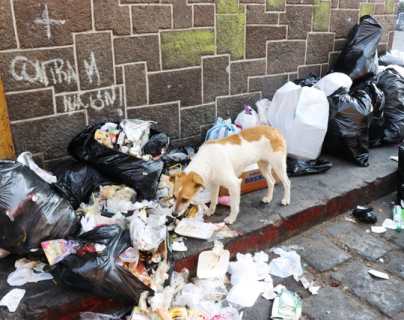 Xela produce más basura y vecinos no tiene cultura de reciclaje