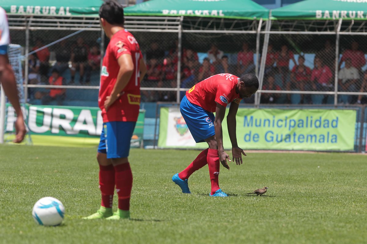 Denniss López tuvo un episodio desafortunado durante el partido en El Trébol. (Foto Prensa Libre: Norvin Mendoza)