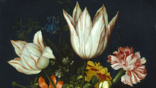 Los tulipanes llegaron a los Países Bajos en el siglo XVII y causaron furor. ALAMY