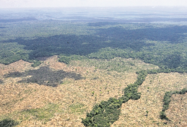 Imagen aérea de la Biosfera Maya, situada en Petén. (Foto Prensa Libre: Hemeroteca PL)