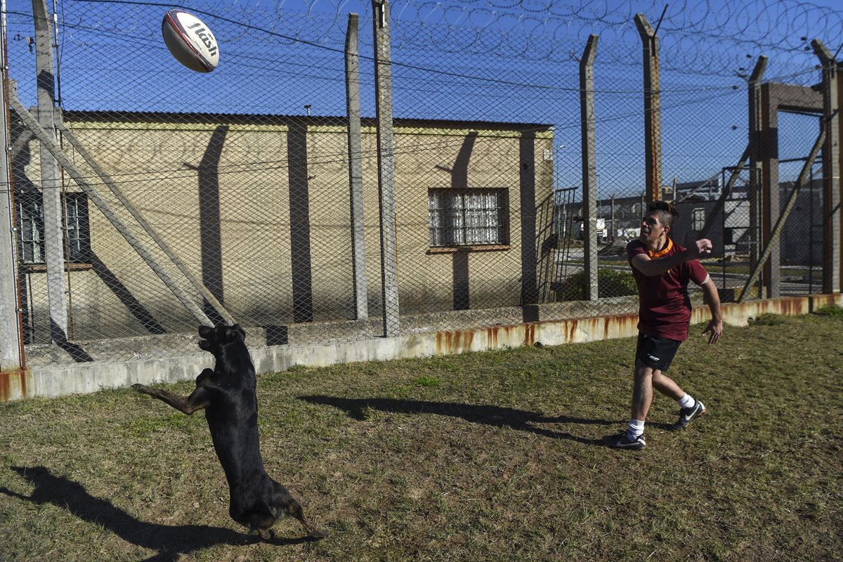 El rugby es un escape para decenas de presos de una cárcel en Argentina. (Foto Prensa Libre: AFP).