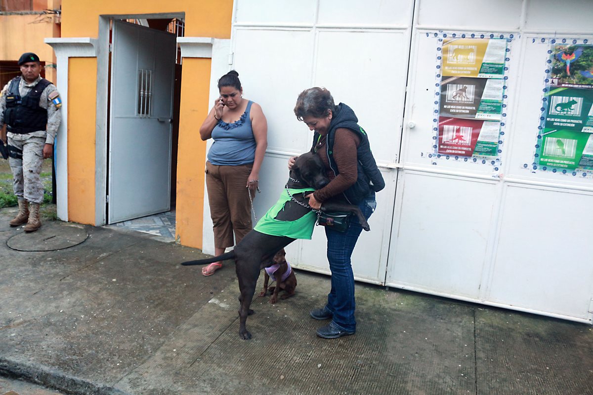 El "Negro" abraza a la rescatista luego que fuera rescatado de una vivienda donde sufria maltrato fisico en Santo Tomas de Castilla, Puerto Barrios, Izabal. (Foto Prensa Libre: Dony Stewart)