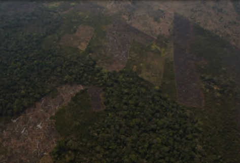 Los incendios dañan la Reserva de la Biosfera Maya. (Foto Prensa Libre: Archivo)