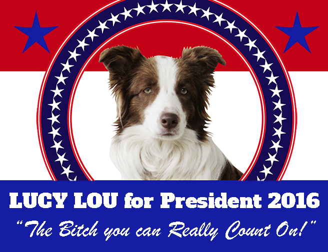 Afiches de campaña de Lucy Lou. (Foto Prensa Libre: Facebook Mayor Lucy Lou)