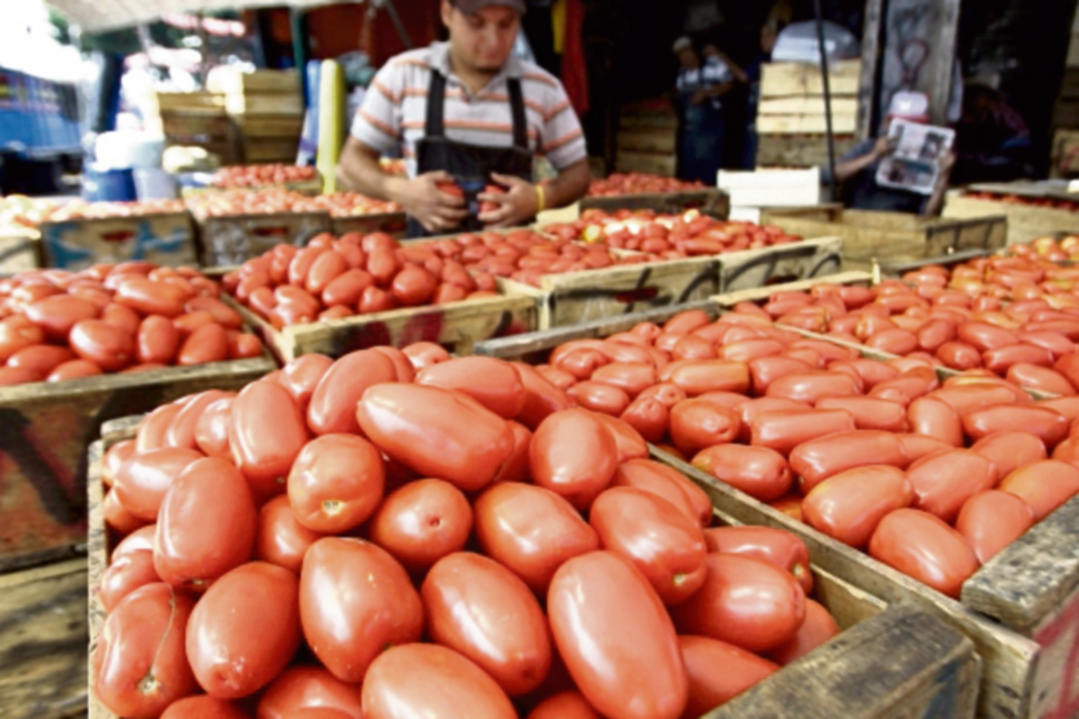 La libra de tomate se cotizó a Q7 en el departamento de Guatemala. (Foto Prensa Libre: Álvaro Interiano)