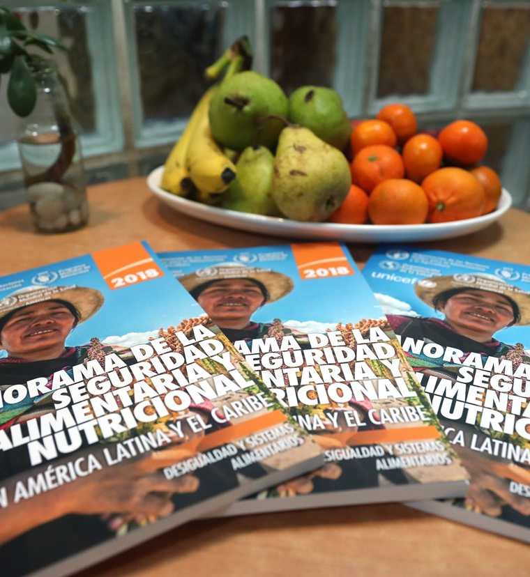 El "Panorama de la seguridad alimentaria y nutricional en América Latina y el Caribe 2018" fue presentado este miércoles en Santiago de Chile. (Foto Prensa Libre: EFE)