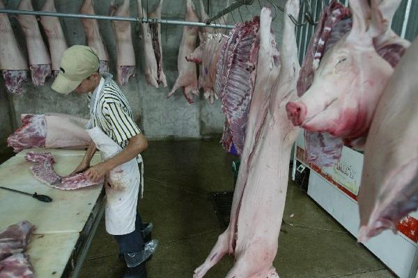 El Salvador prohibió temporalmente la importación de    cerdos procedente de Guatemala. (Foto Prensa Libre: Archivo)