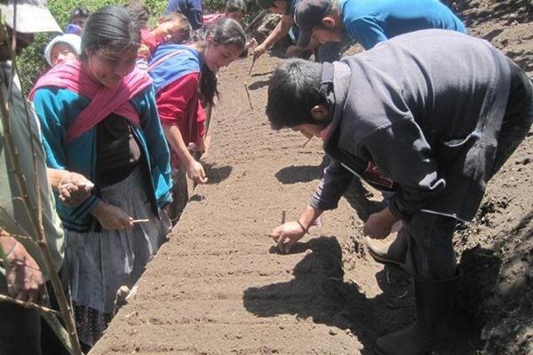 Comunitarios de aldea Canaque, San Marcos, preparan la tierra para siembra de hortalizas. (Foto Prensa Libre: Genner Guzmán)