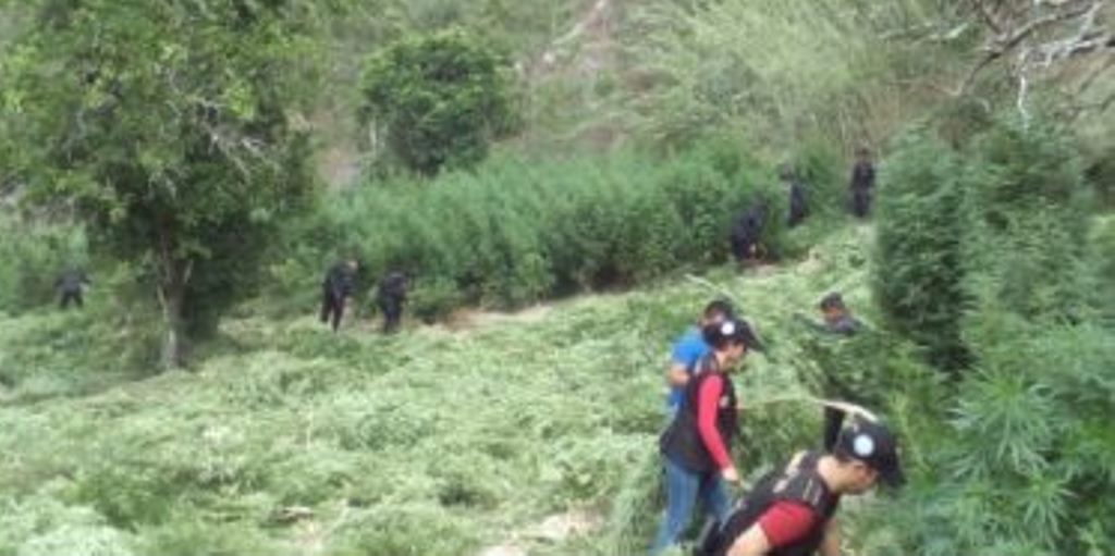 Una de las áreas donde se llevó a cabo el operativo antinarcótico en Totonicapán. (Foto Prensa Libre: MP).