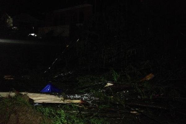 Los fuertes vientos en Alta Verapaz derribaron varios árboles. (Foto Prensa Libre: Eduardo Sam Chun)<br _mce_bogus="1"/>