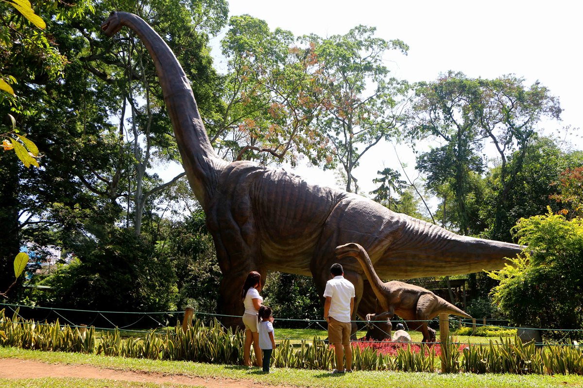 Un braquiosaurio de 15 metros de alto por 30 de largo es una de las últimas atracciones que introdujo Dino Park, en Santa Cruz Muluá, Retalhuleu. (Foto Prensa Libre: Rolando Miranda)