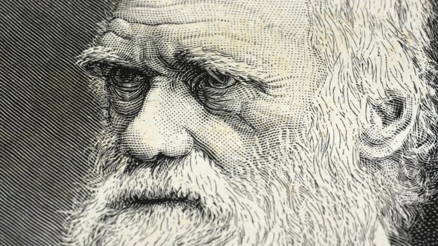 Charles Darwin le respondió una carta a Brown Blackwell asumiendo que era un hombre. GETTY IMAGES