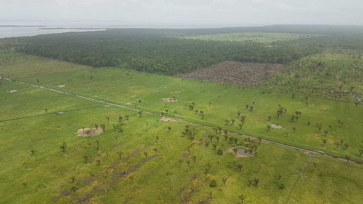 Vista área de la deforestación de la península de Punta de Manabique en Puerto Barrios Izabal. (Foto Prensa Libre: Dony Stewart)