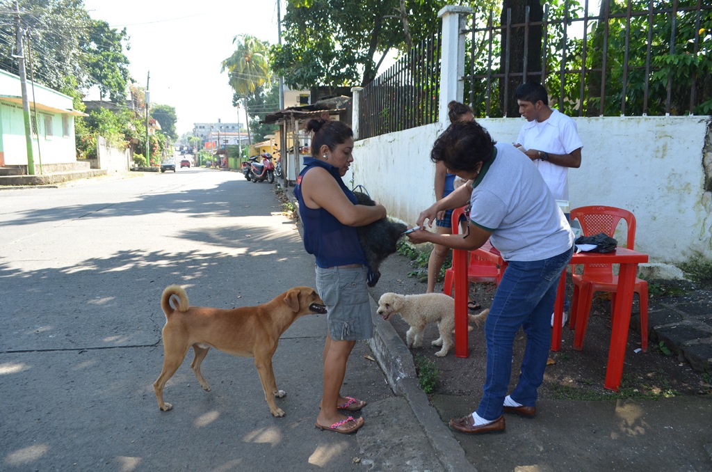 Trabajadora del Área de Salud vacuna un perro en la ciudad de Retalhuleu. (Foto Prensa Libre: Jorge Tizol)