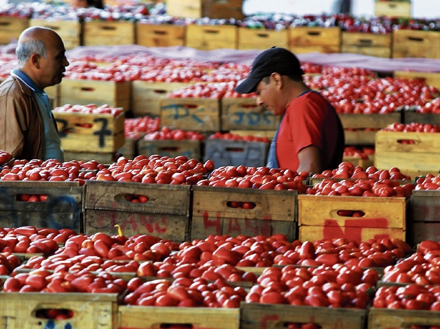 El tomate fue uno de los productos que registro alza en octubre y que incidió en el ritmo inflacionario, según el INE. (Foto Prensa Libre: Hemeroteca)