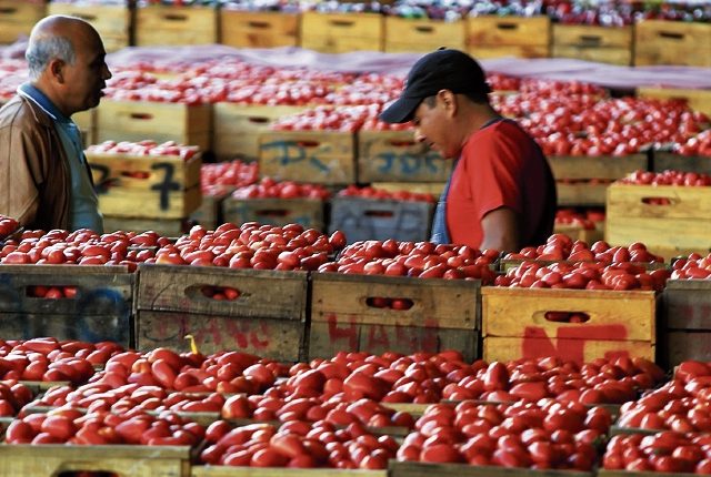 El tomate fue uno de los productos que registro alza en octubre y que incidió en el ritmo inflacionario, según el INE. (Foto Prensa Libre: Hemeroteca)