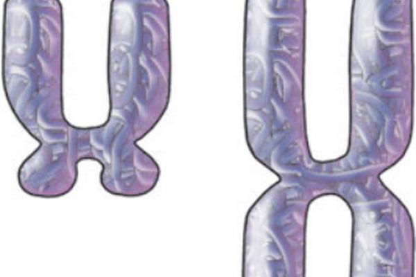 Cromosomas sexuales humanos. <br _mce_bogus="1"/>