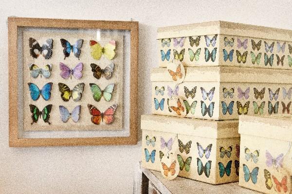 cajas y  cuadros decorativos se pueden adaptar a cualquier ambiente.