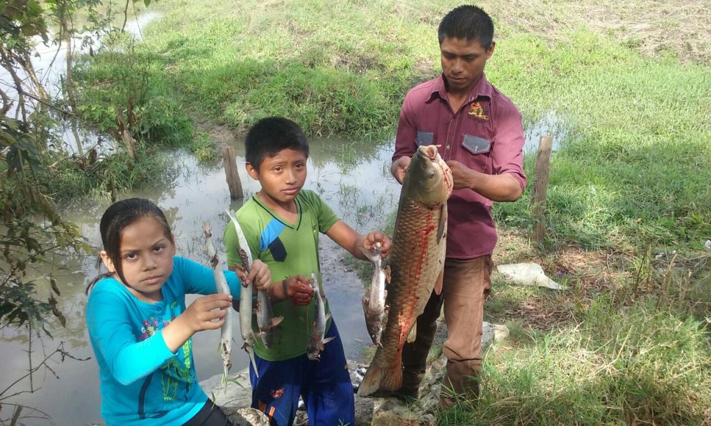 Niños muestran algunos de los peces muertos encontrados en el arroyo San Ramón, Sayaxché, Petén. (Foto Prensa Libre: Rigoberto Escobar)