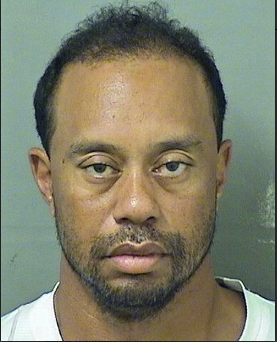 Está es la imagen que circula en redes sociales de Tiger Woods luego de su arresto. (Foto Prensa Libre: EFE)