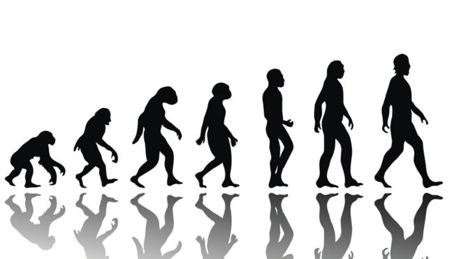 ¿Qué vendrá después del Homo sapiens? THINKSTOCK