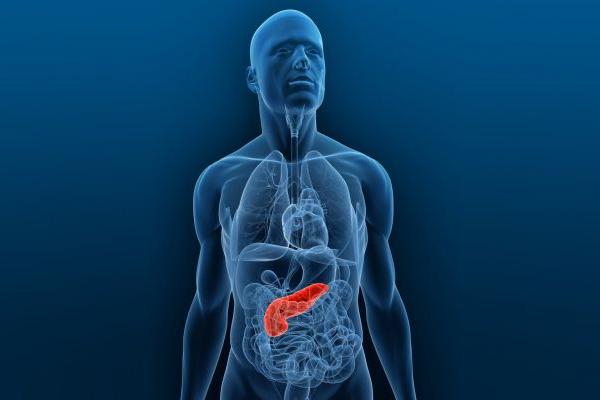 El cáncer de páncreas se expande rápidamente por el cuerpo y es uno de los más letales. <br _mce_bogus="1"/>