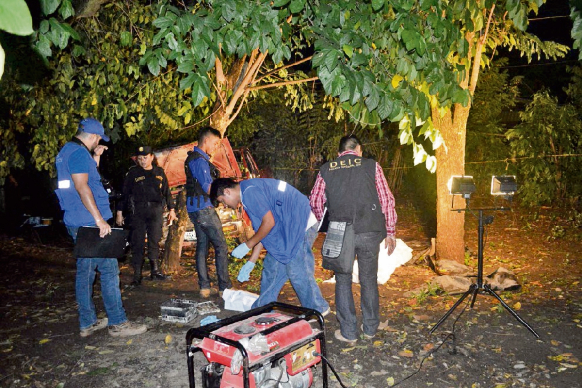 El lote de madera de rosul decomisado fue hallado junto a un camino de terracería en Morales, Izabal.