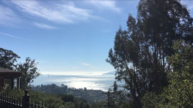 La clínica Paradigm, tiene vistas dignas de un resort.