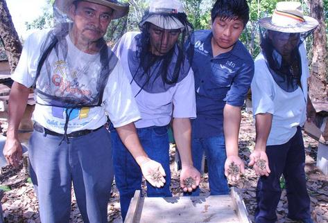 La miel producida en Guatemala tiene fama internacional por su alta calidad. (Foto Prensa Libre: Hemeroteca PL)