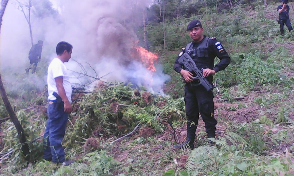 Autoridades queman parte de la marihuana decomisada en Camotán. (Foto Prensa Libre: Edwin Paxtor)