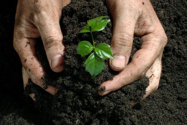 <br _mce_bogus="1"/>