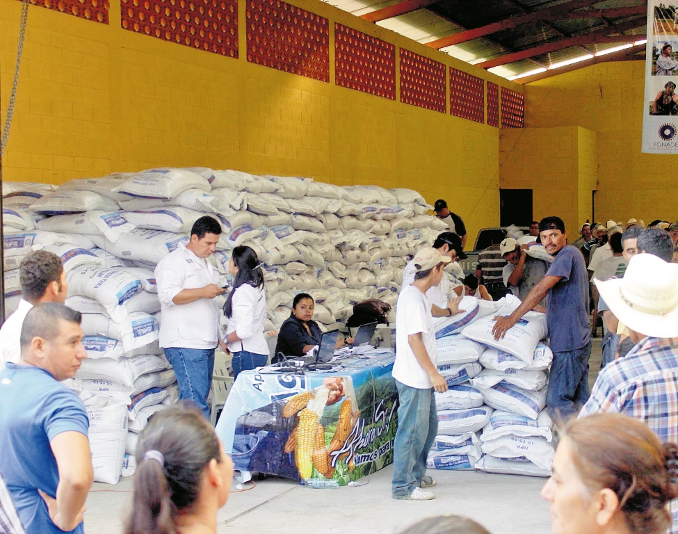 El Maga tiene destinados unos Q200 millones para distribuir, a través del programa de subvención agropecuaria, entre  más de un millón de campesinos. (Foto Prensa Libre: Hemeroteca PL)