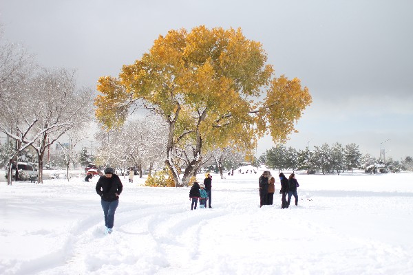  Las zonas habitadas afectadas por el viento y la nieve en Ciudad Juárez del estado de Chihuahua, México. (Foto Prensa Libre: EFE)