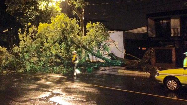 Un árbol cayó en la 11 avenida y 9 aclale zona 2, reportaron los Bomberos Municipales. (Foto Prensa Libre: @amilcarmontejo)
